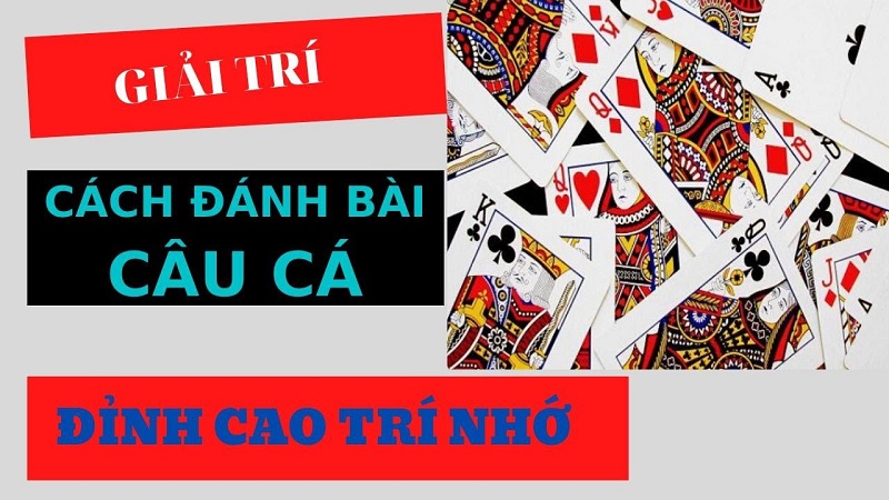 Cách đánh bài câu cá 4 người